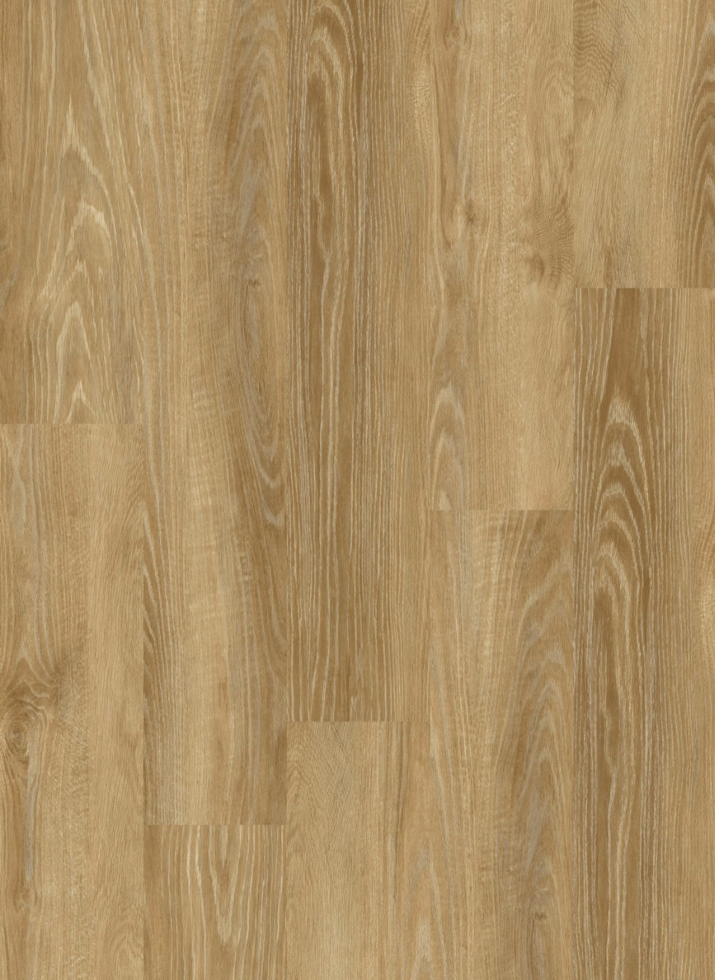 Ginger Beech